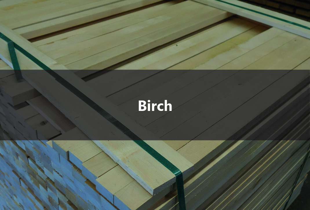 Birch